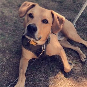 Meet your Posher, Aaron